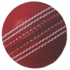 Cricket Ball Fridge Magnet