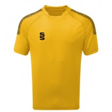 Darley Abbey CC Dual T20/Training Shirt Amber/Black (includes sponsor logo)