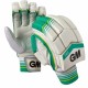 Cricket Batting Gloves