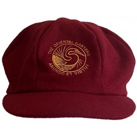 The Oriental Darters