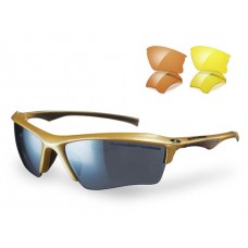 Sunwise Odyssey Gold Sunglasses