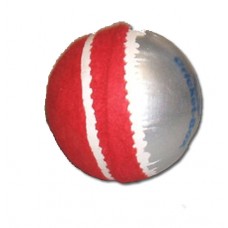 Swinger Cricket Ball 6 for £10